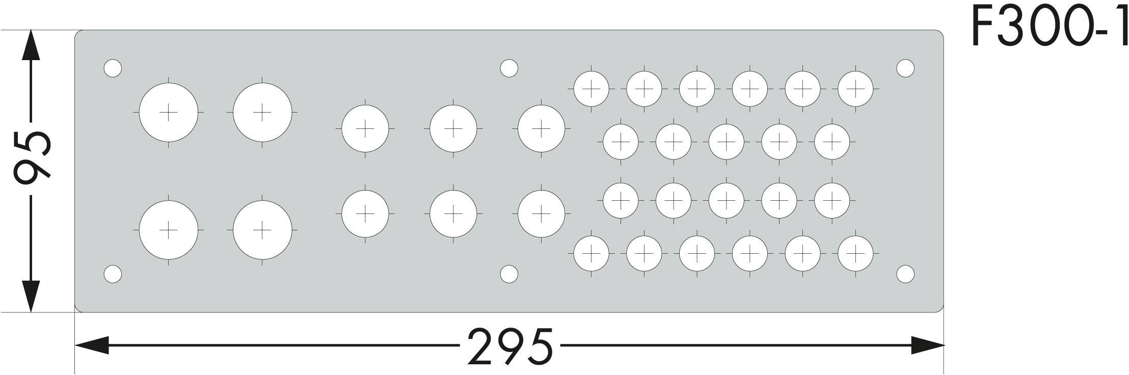 Montageplatte mit mehreren Bohrlöchern in zwei Gruppen; Maße: 295 mm Breite, 95 mm Höhe; bezeichnet mit 'F300-1'.