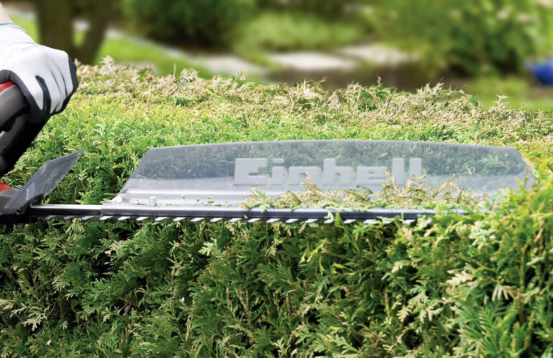 Person schneidet eine grüne Hecke mit einer elektrischen Heckenschere im Garten.