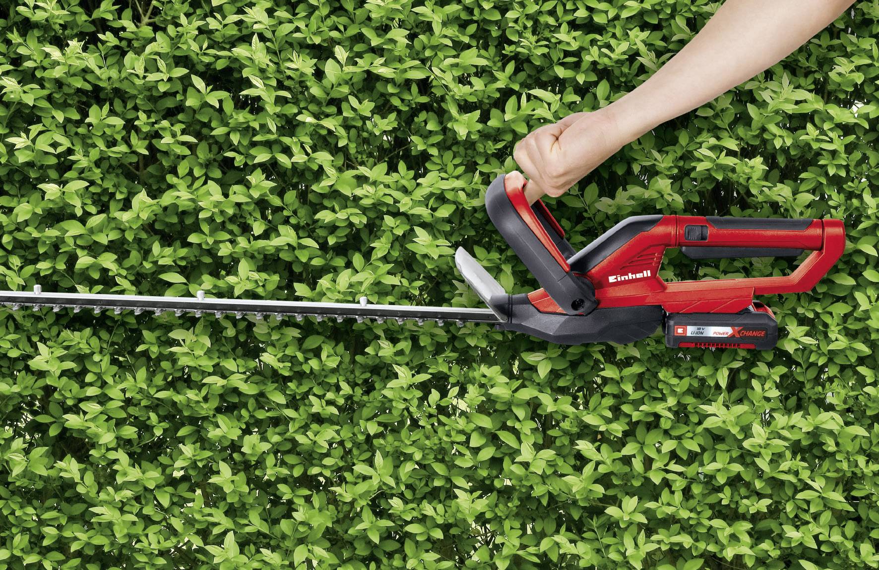 Eine Person benutzt eine rote, elektrische Heckenschere, um eine grüne Hecke zu trimmen. Die Hecke ist dicht und gut gepflegt.