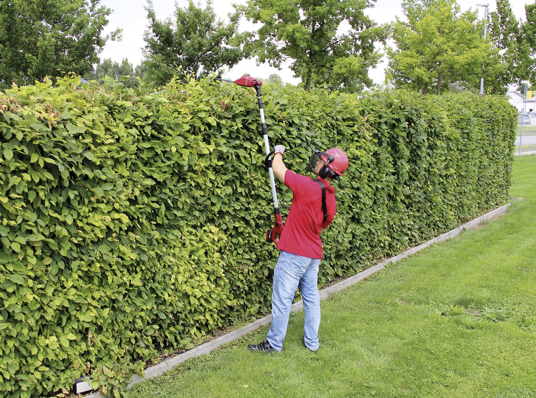 Ein Gärtner in rotem Hemd und blauem Jeans schneidet mit einer elektrischen Heckenschere eine hohe, grüne Hecke.