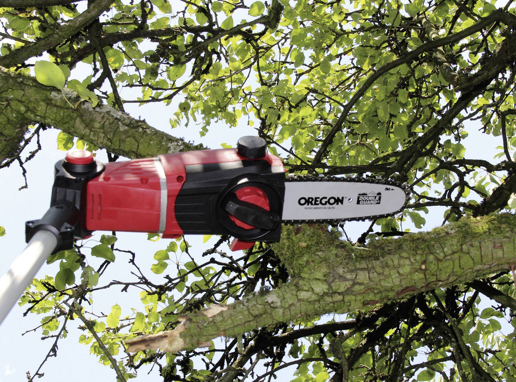 Eine elektrische Astsäge schneidet einen Ast hoch oben in einem Baum. Das Blatt ist rot und schwarz, mit dem Markennamen sichtbar.