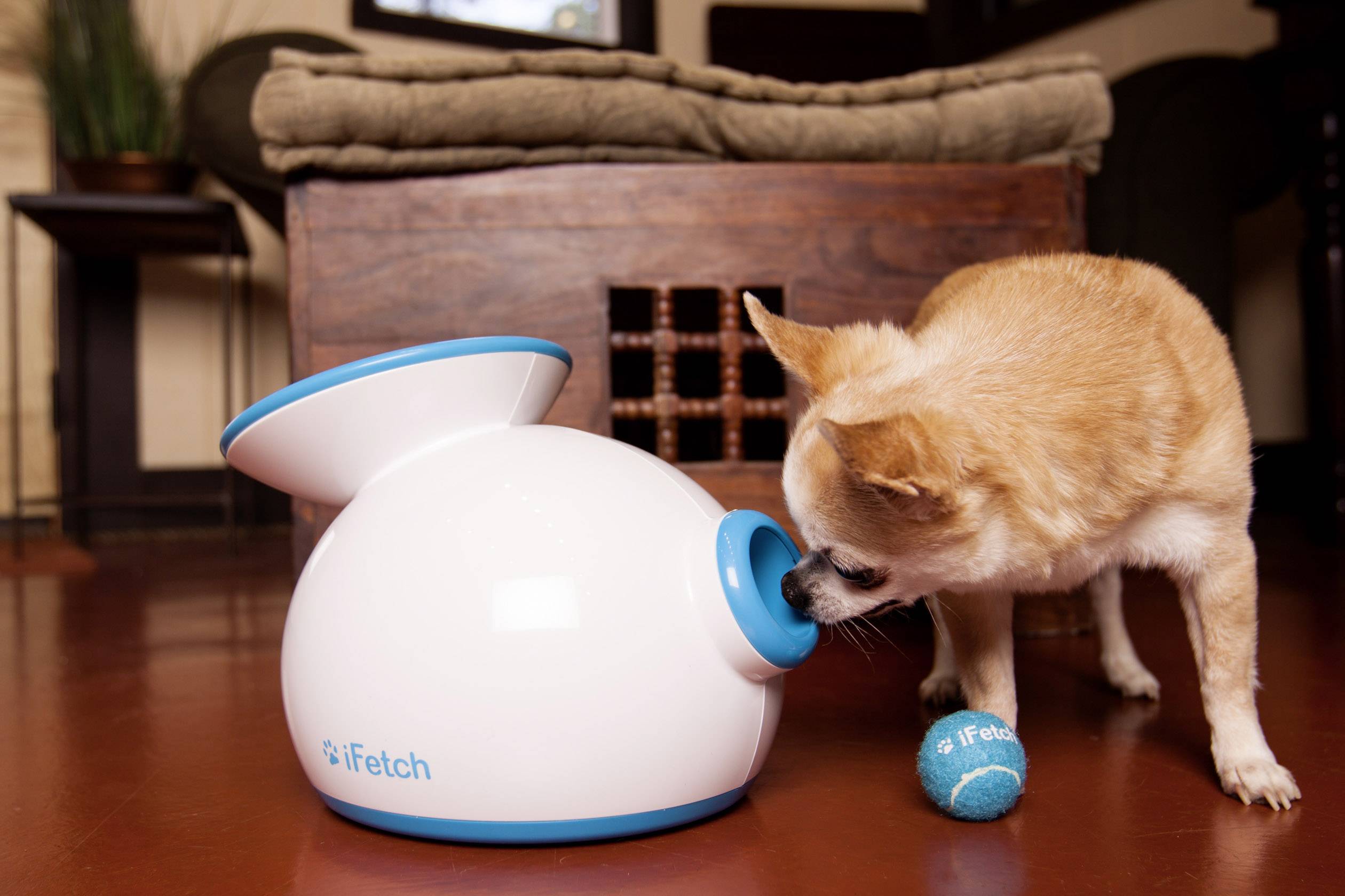 IFetch Original Ballschleuder Weiß, Blau 1St.