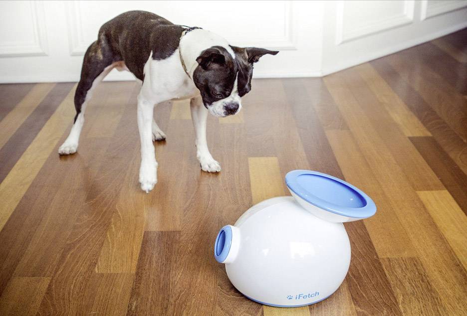 IFetch Original Ballschleuder Weiß, Blau 1St.