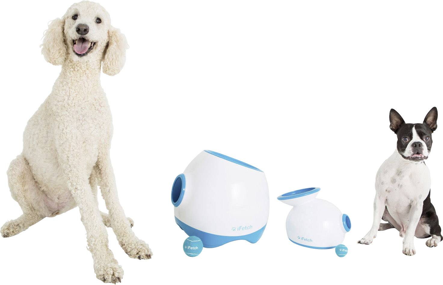 IFetch Original Ballschleuder Weiß, Blau 1St.