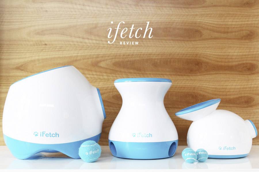 IFetch Original Ballschleuder Weiß, Blau 1St.