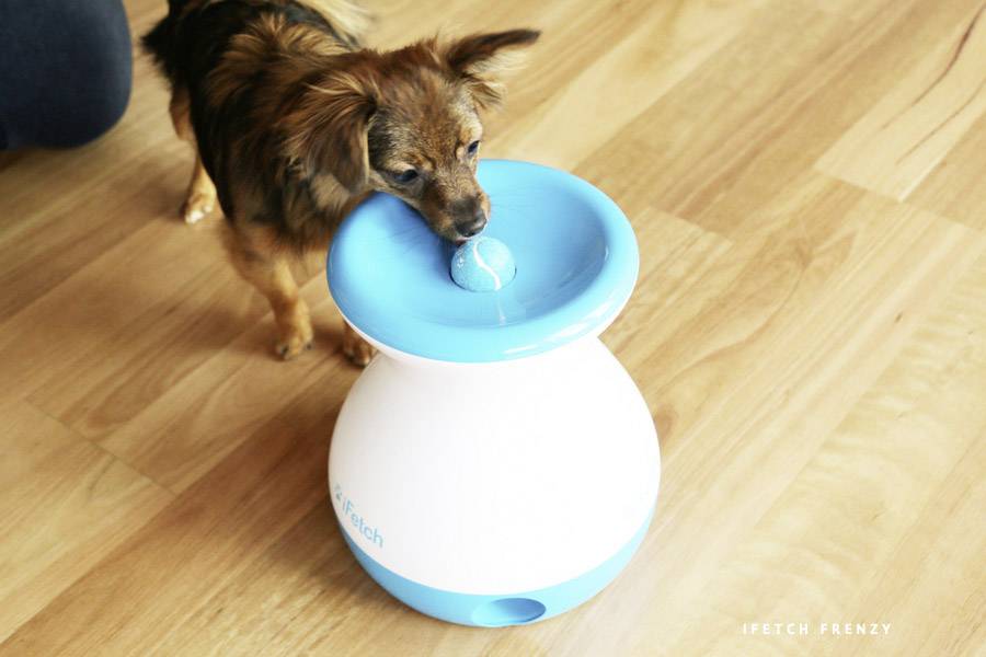 IFetch Frenzy Ballschleuder Weiß, Blau 1St.