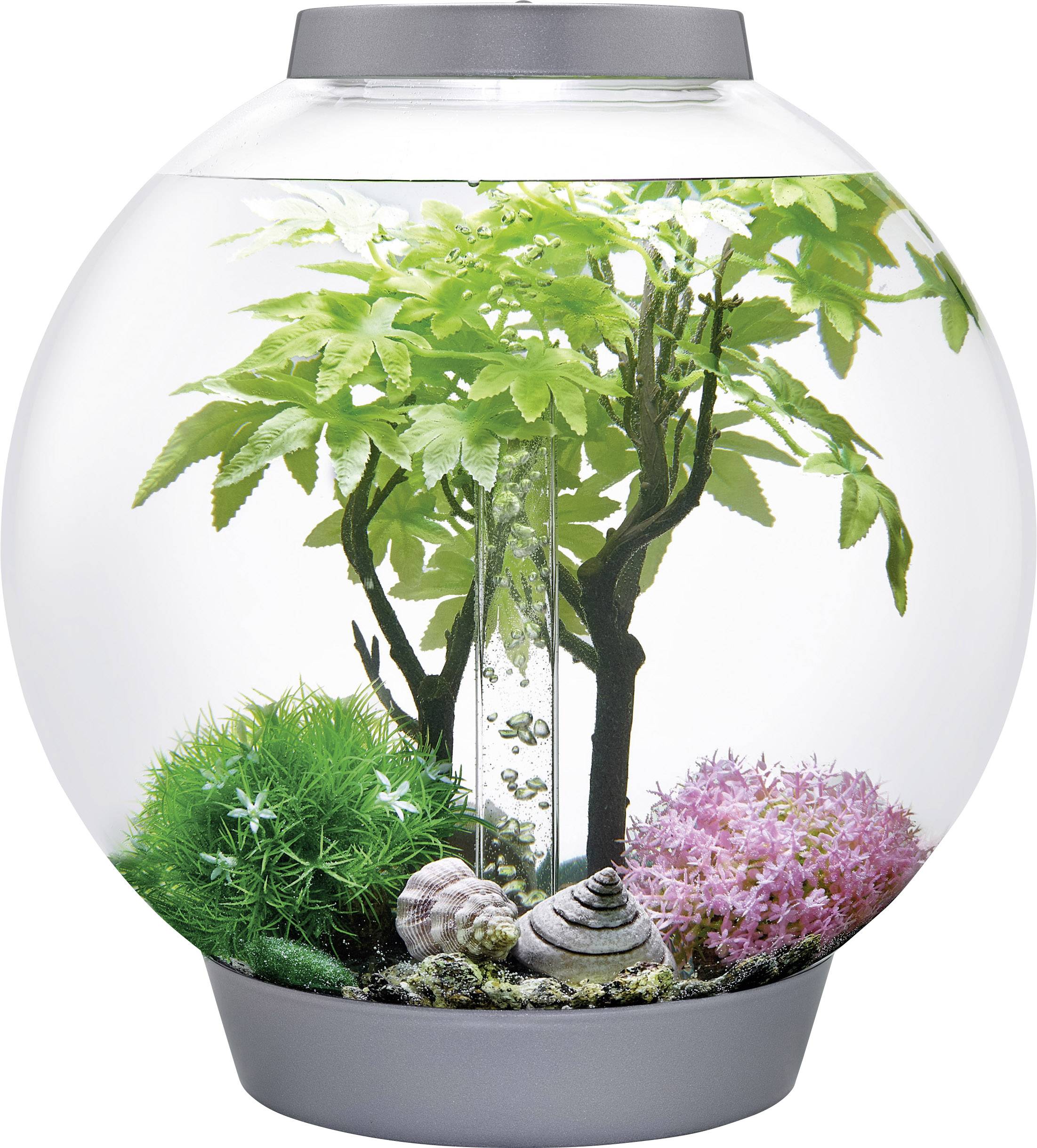 Oase 55029 Aquarium-Dekoration biOrb Decor Set 30L Sommer 30 l