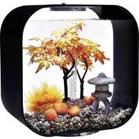 Oase 55027 biOrb Decor Set 30L Herbst Aquarium-Dekoration 30 l Oase 55027 biOrb Decor Set 30L Herbst Aquarium-Dekoration 30 l