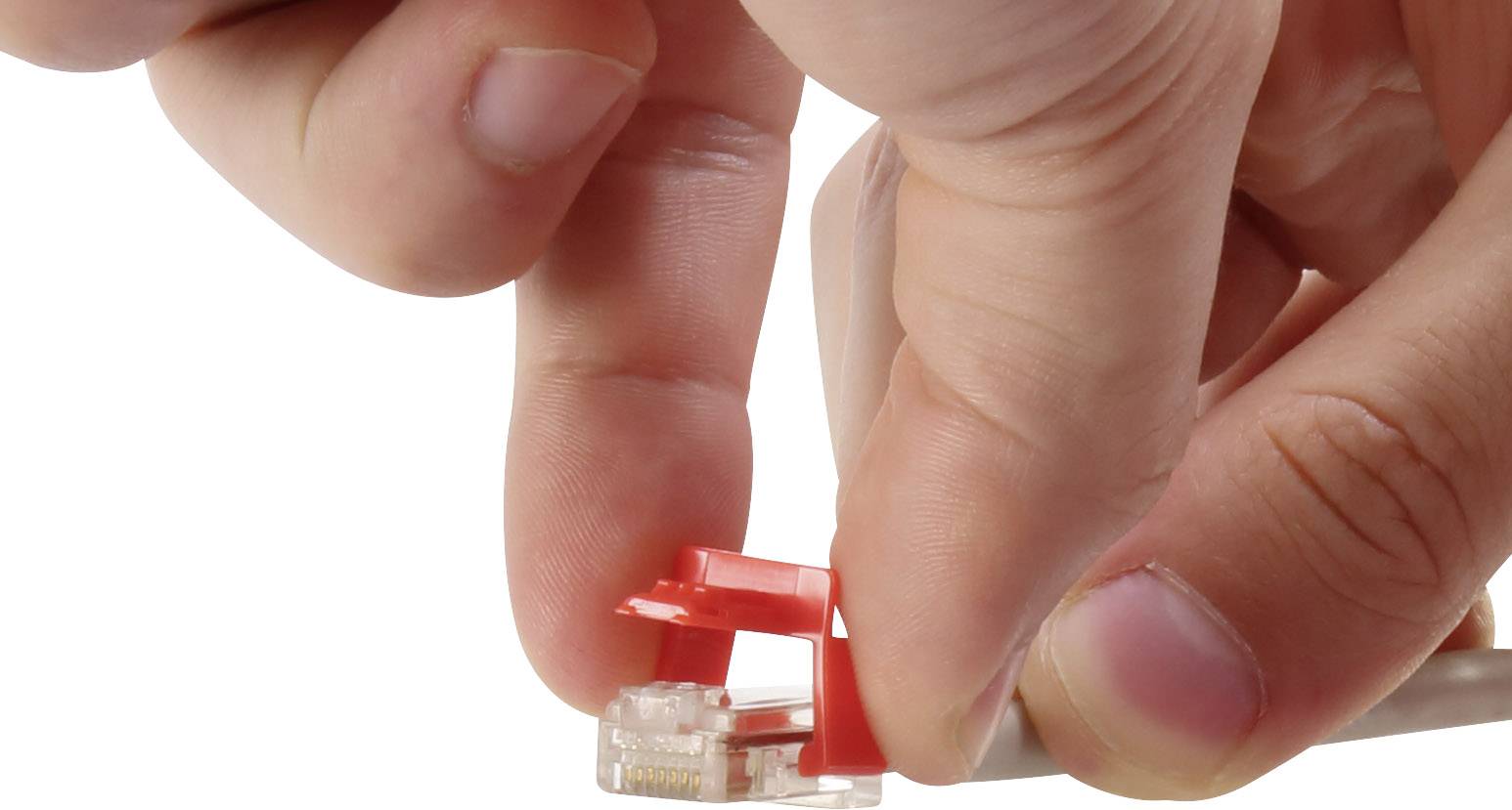 Renkforce Sicherungsclip für Netzwerkkabel RF-NW-SC 30St.