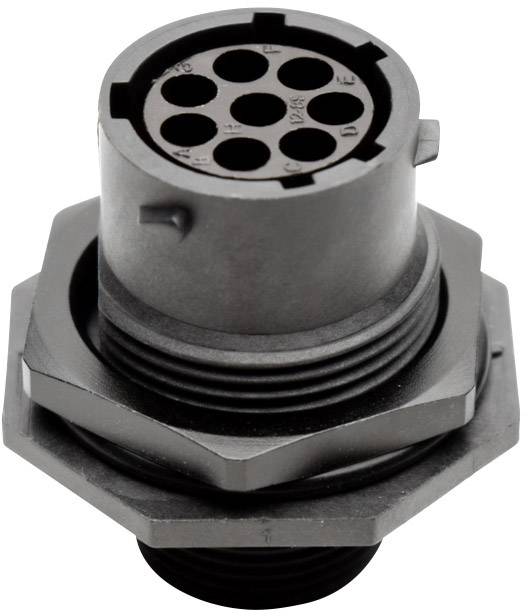 Amphenol RTS 7 12N 8S03 Rundstecker Buchse, Einbau Gesamtpolzahl: 8 Serie (Rundsteckverbinder): Eco