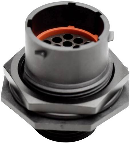 Amphenol RTS 7 14N 19P03 Rundstecker Stecker, gerade Gesamtpolzahl: 19 Serie (Rundsteckverbinder)