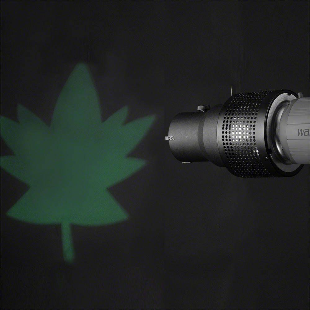 Walimex Electra small 16694 Befestigungs-Clip