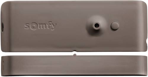 Funk-Öffnungsmelder Protexiom 2400929