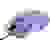 AULA Hunting USB Gaming-Maus Optisch Beleuchtet, Ergonomisch