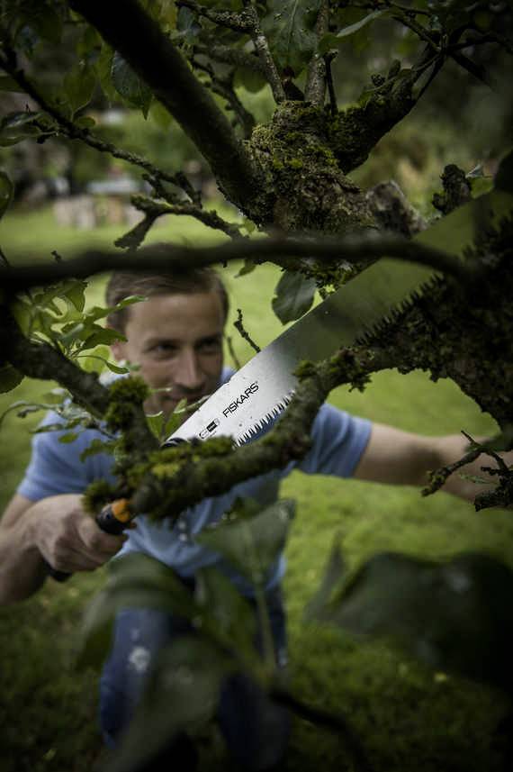 Person schneidet mit einer Säge Äste von einem Baum im Garten ab.