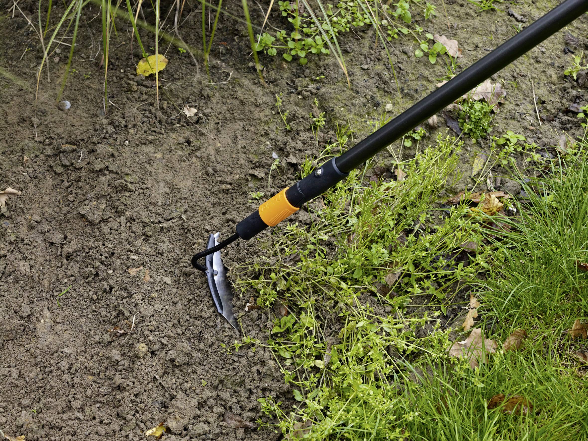Eine Handhacke gräbt Unkraut aus einem Gartenbeet. Im Hintergrund sind Gras und Laub zu sehen.