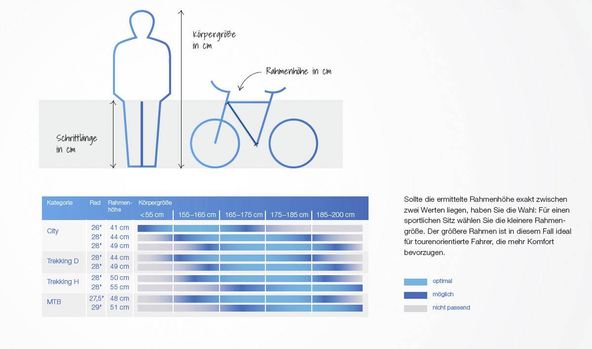 Fischer Fahrrad ETD1801 E-Bike mit Trittantrieb Anthrazit (matt) Li-Ion 36V 11Ah