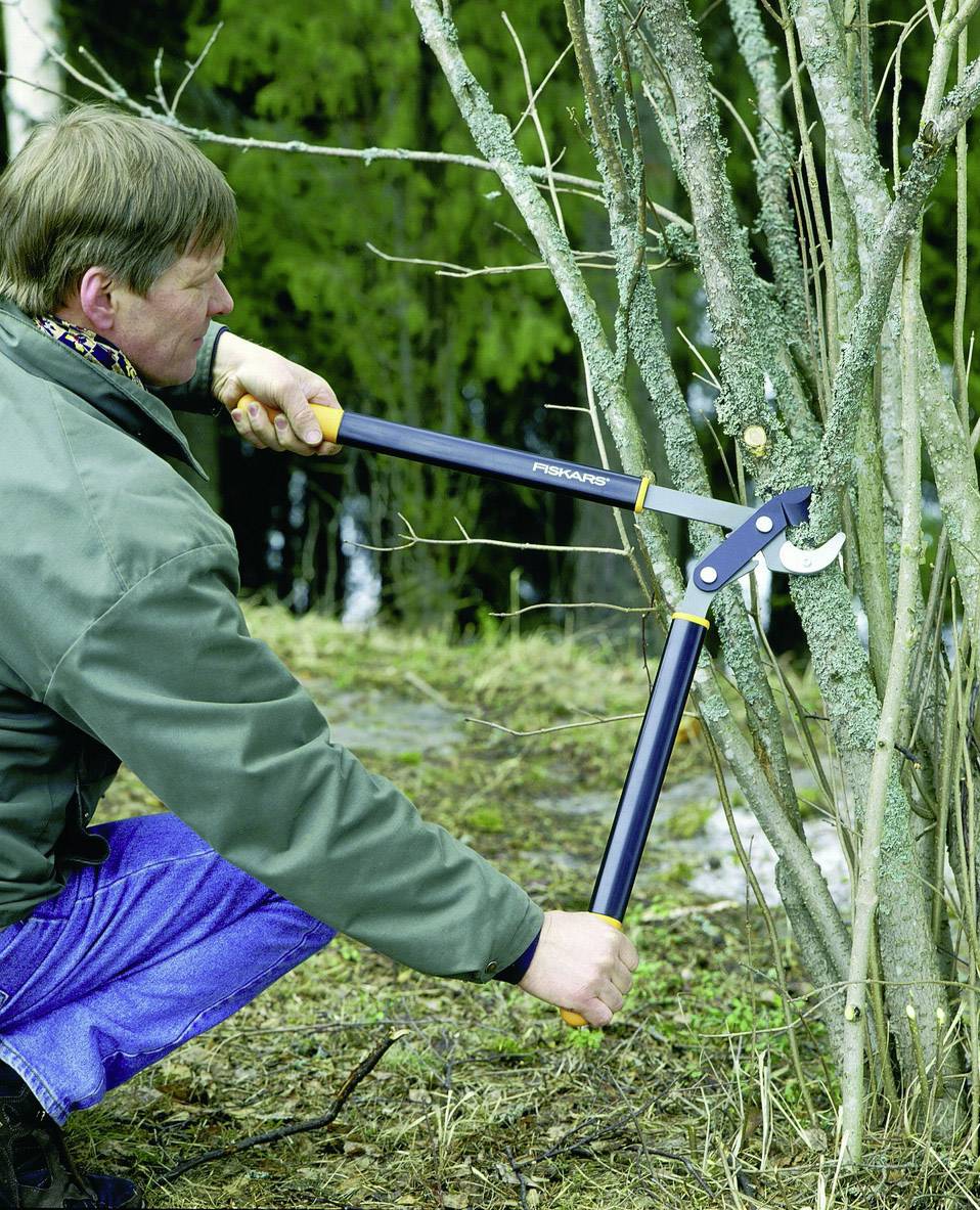 Fiskars M L93 1001550 Astschere Amboss