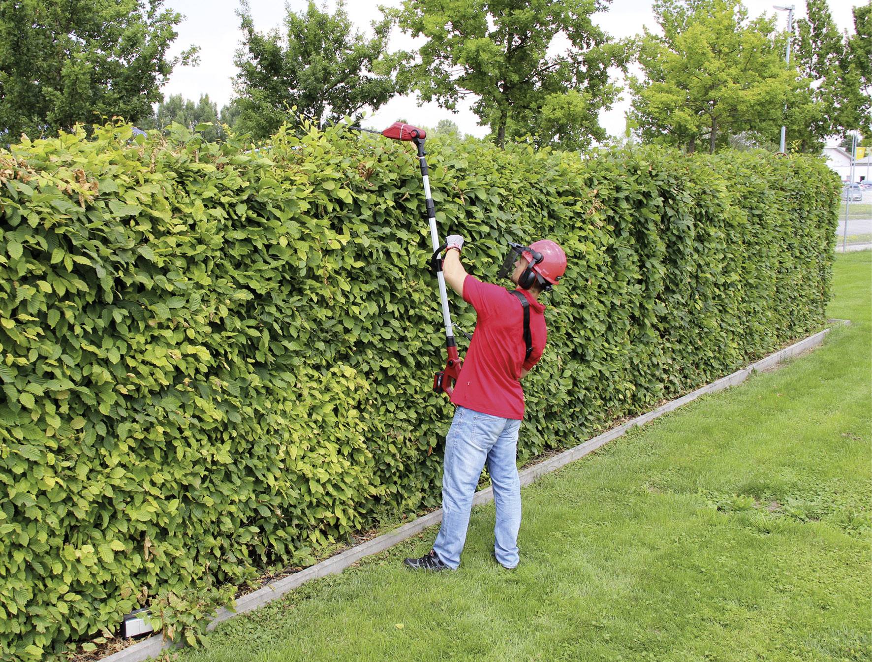 Eine Person schneidet mit einem elektrischen Heckenschneider eine hohe grüne Hecke. Sie trägt einen roten Helm und Schutzbrille.