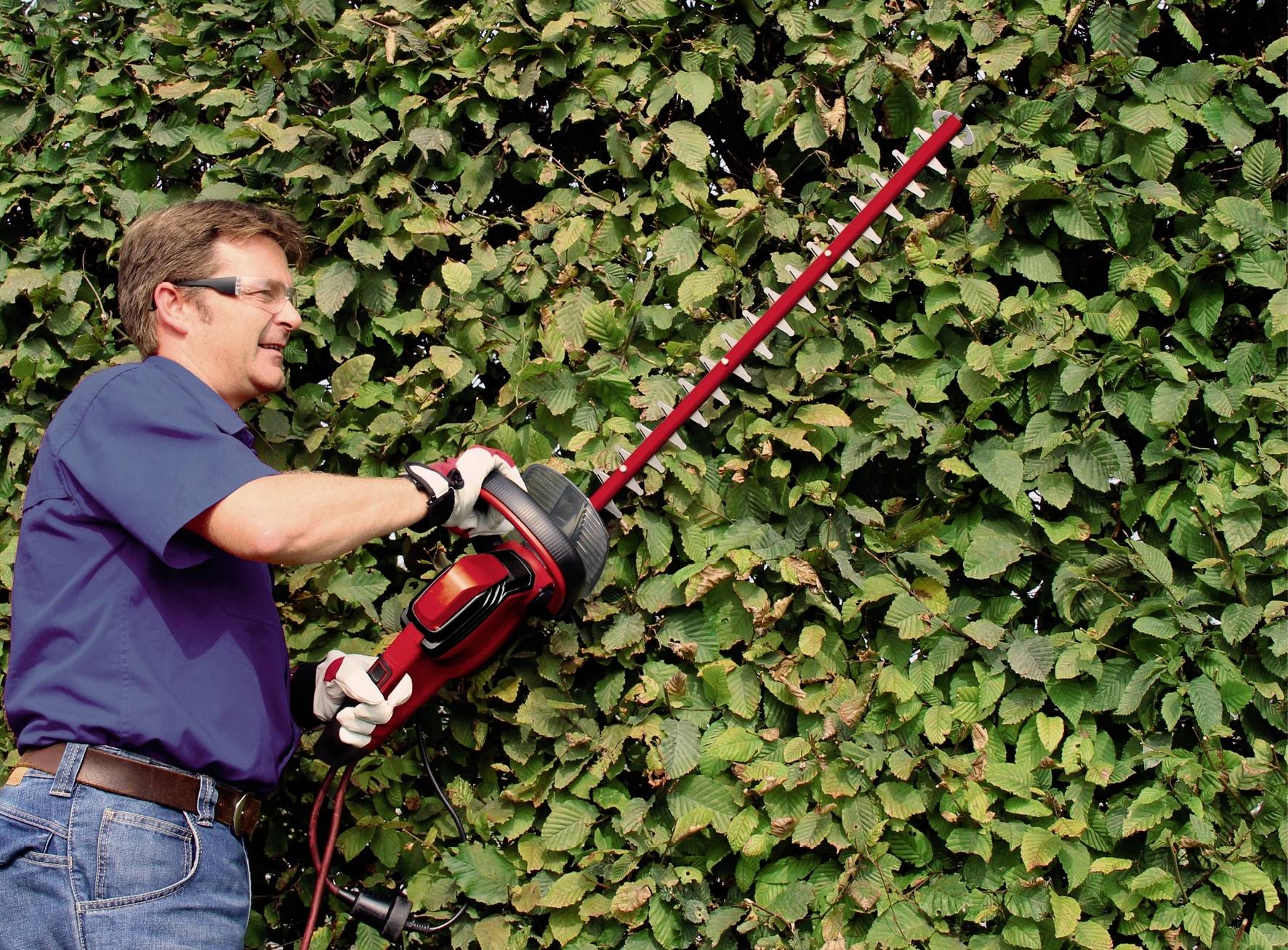 Einhell GC-EH 6055/1 Elektro Heckenschere mit Schutzbügel 600W 610mm