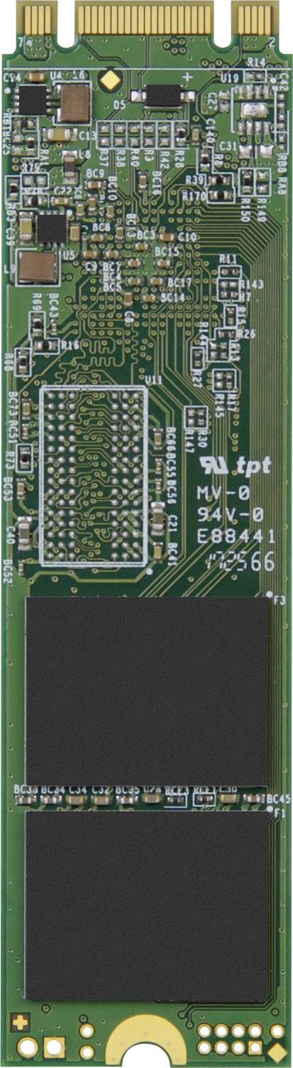 Transcend 800S 32GB Interne M.2 SATA SSD 2280 M.2 SATA 6 Gb/s Retail TS32GMTS800S