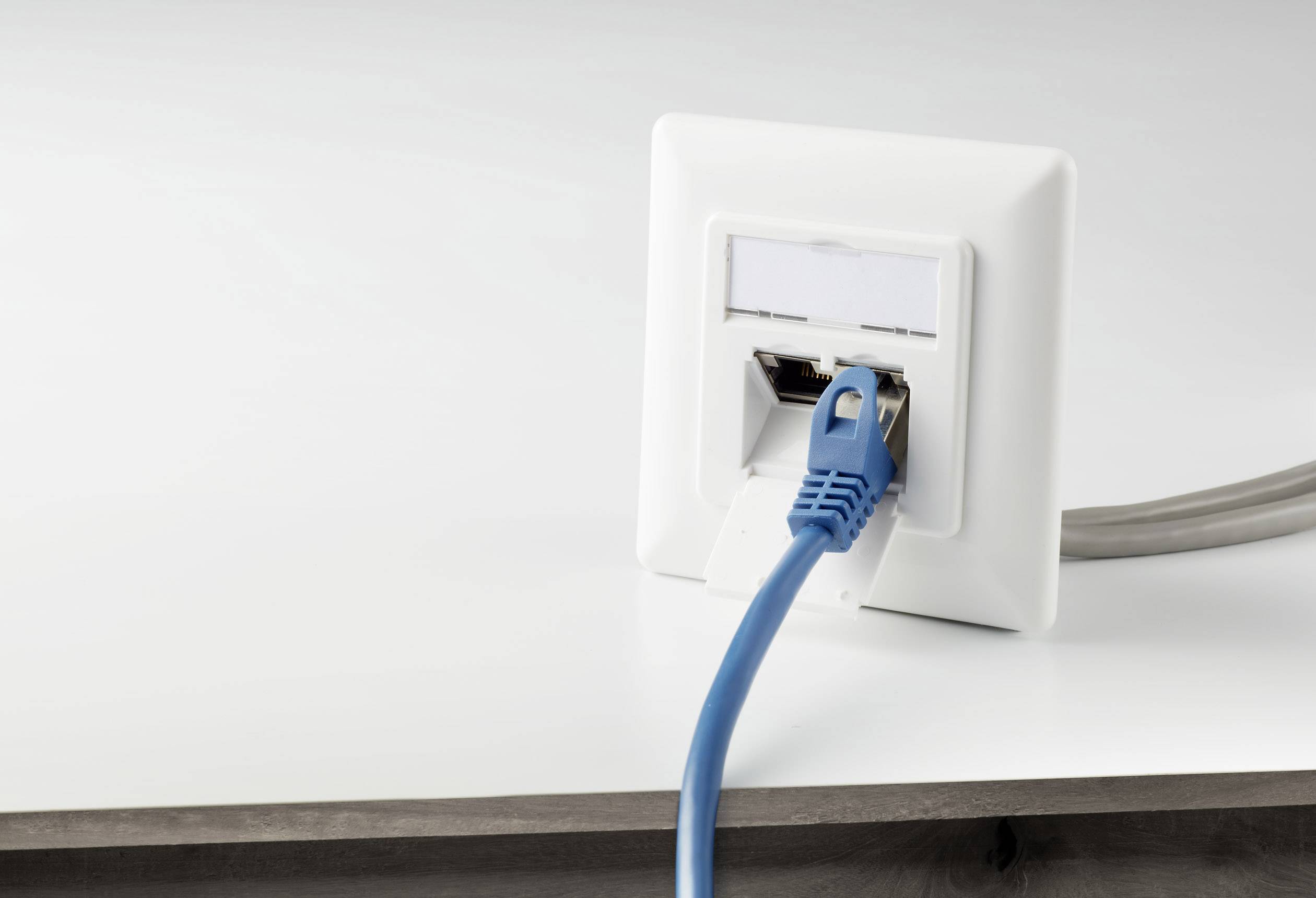 Renkforce Netzwerkdose Wand Einsatz mit Zentralplatte und Rahmen CAT 6a 2 Port NDU-5010 Reinweiß (9010)