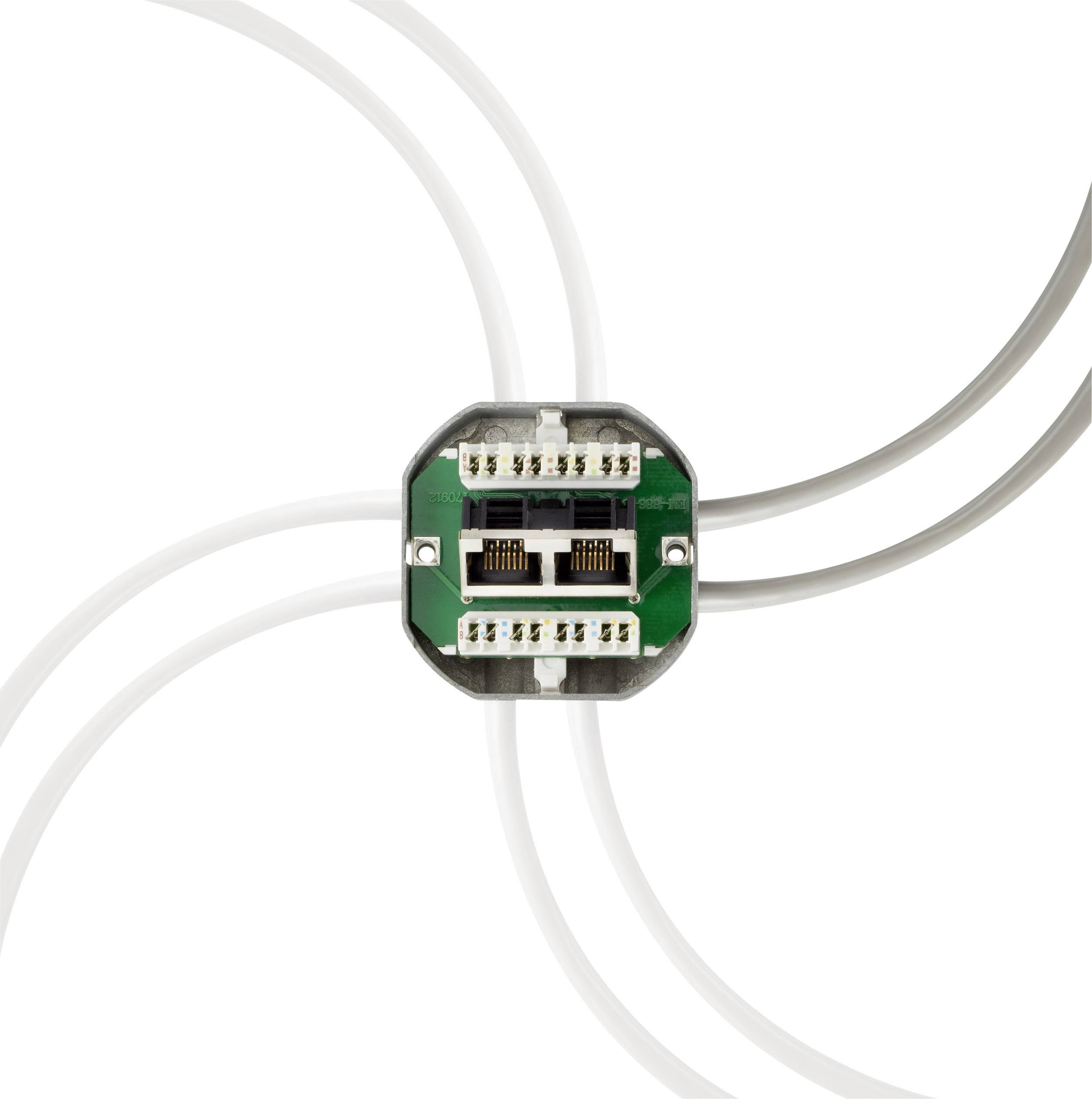 Renkforce Netzwerkdose Wand Einsatz mit Zentralplatte und Rahmen CAT 6a 2 Port NDU-5010 Reinweiß (9010)