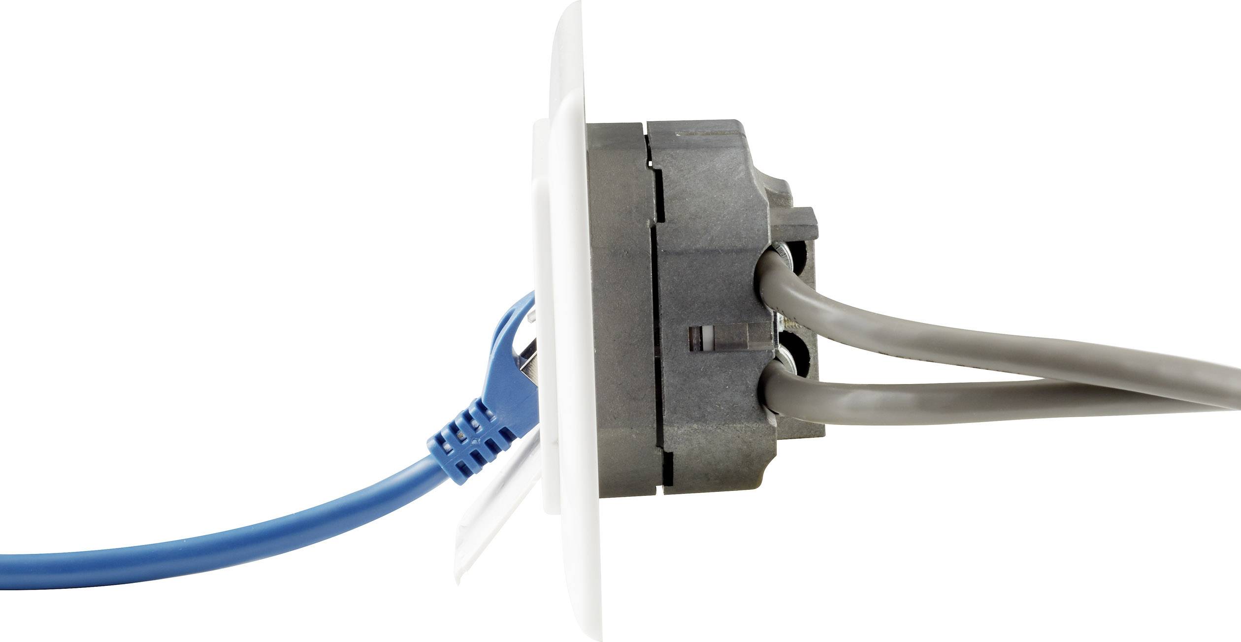 Renkforce Netzwerkdose Wand Einsatz mit Zentralplatte und Rahmen CAT 6a 2 Port NDU-5010 Reinweiß (9010)