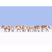NOCH H0 Kühe braun-weiß 15726 Bemalt, Stehend
