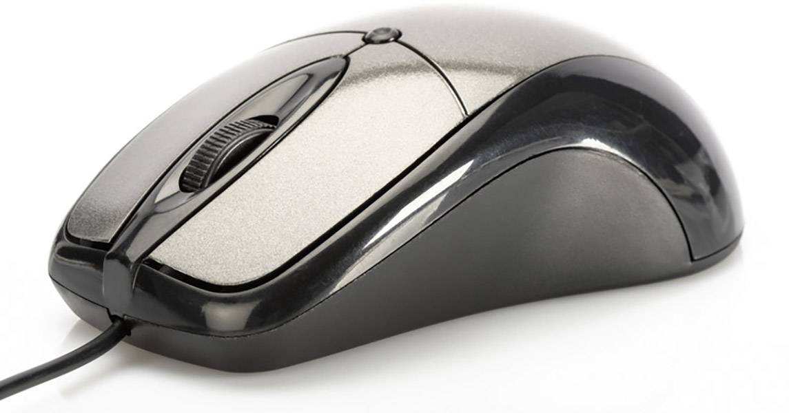 Ednet 81046 Ergonomische Maus USB Optisch Anthrazit, Schwarz 3 Tasten 800 dpi Ergonomisch