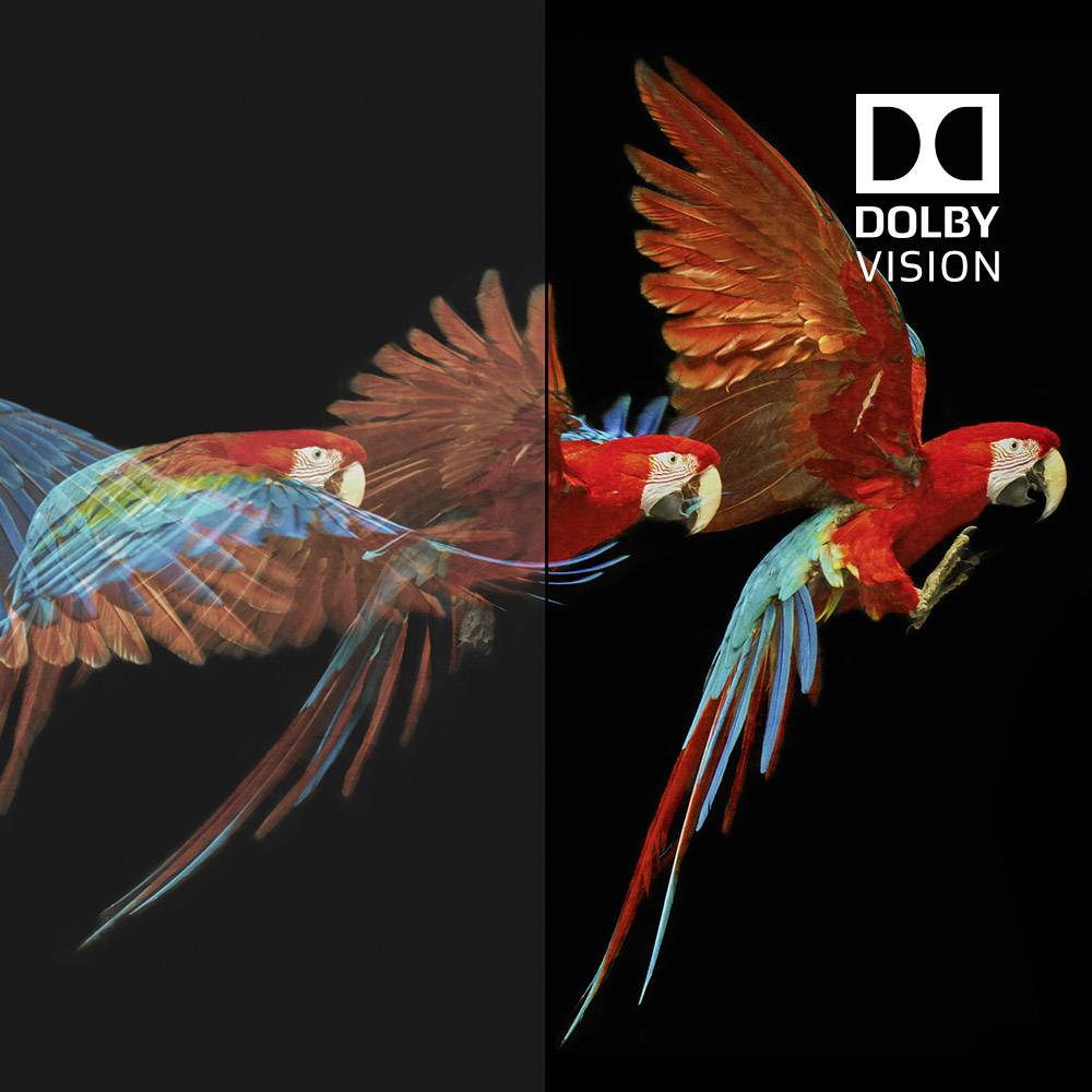 Belkin HDMI Anschlusskabel HDMI-A Stecker, HDMI-A Stecker 2.00m Schwarz AV10175bt2M-BLK Ultra HD (4k) HDMI HDMI-Kabel