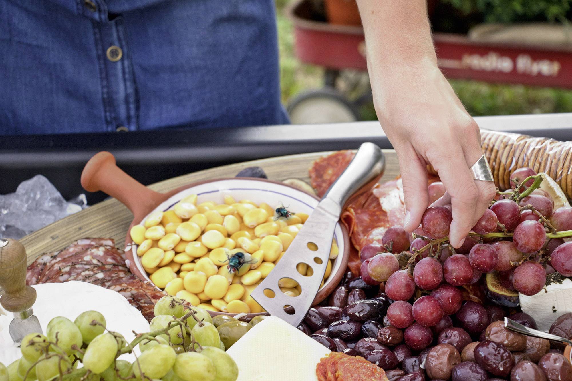 Gardigo Fly Scare 25157 Insektenvertreiber (B x H x T) 80 x 250 x 80mm Schwarz 1St.