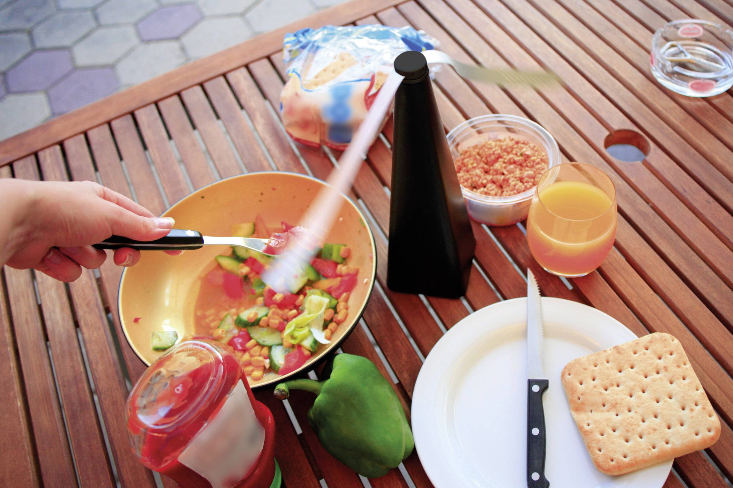 Gardigo Fly Scare 25157 Insektenvertreiber (B x H x T) 80 x 250 x 80mm Schwarz 1St.