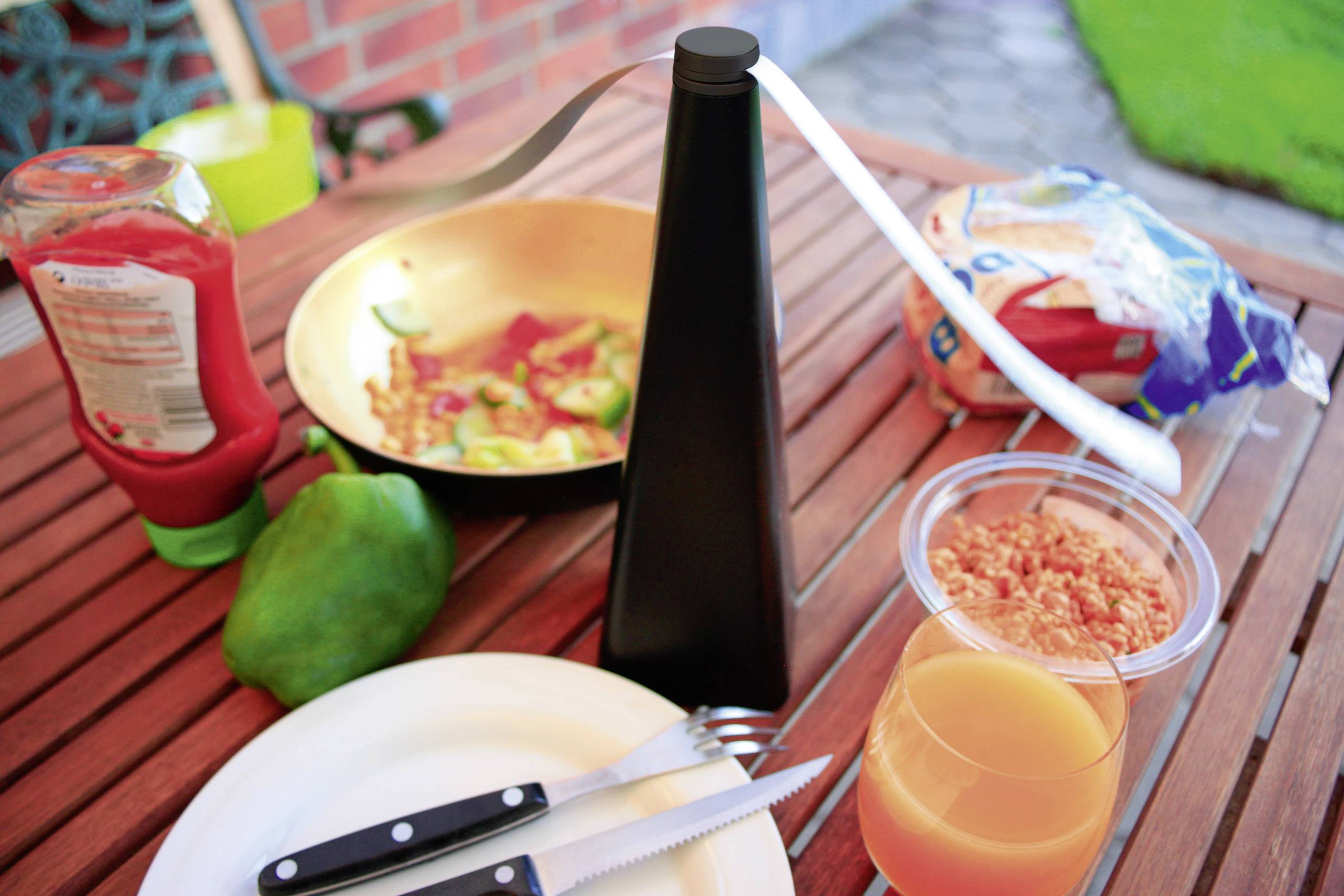 Gardigo Fly Scare 25157 Insektenvertreiber (B x H x T) 80 x 250 x 80mm Schwarz 1St.