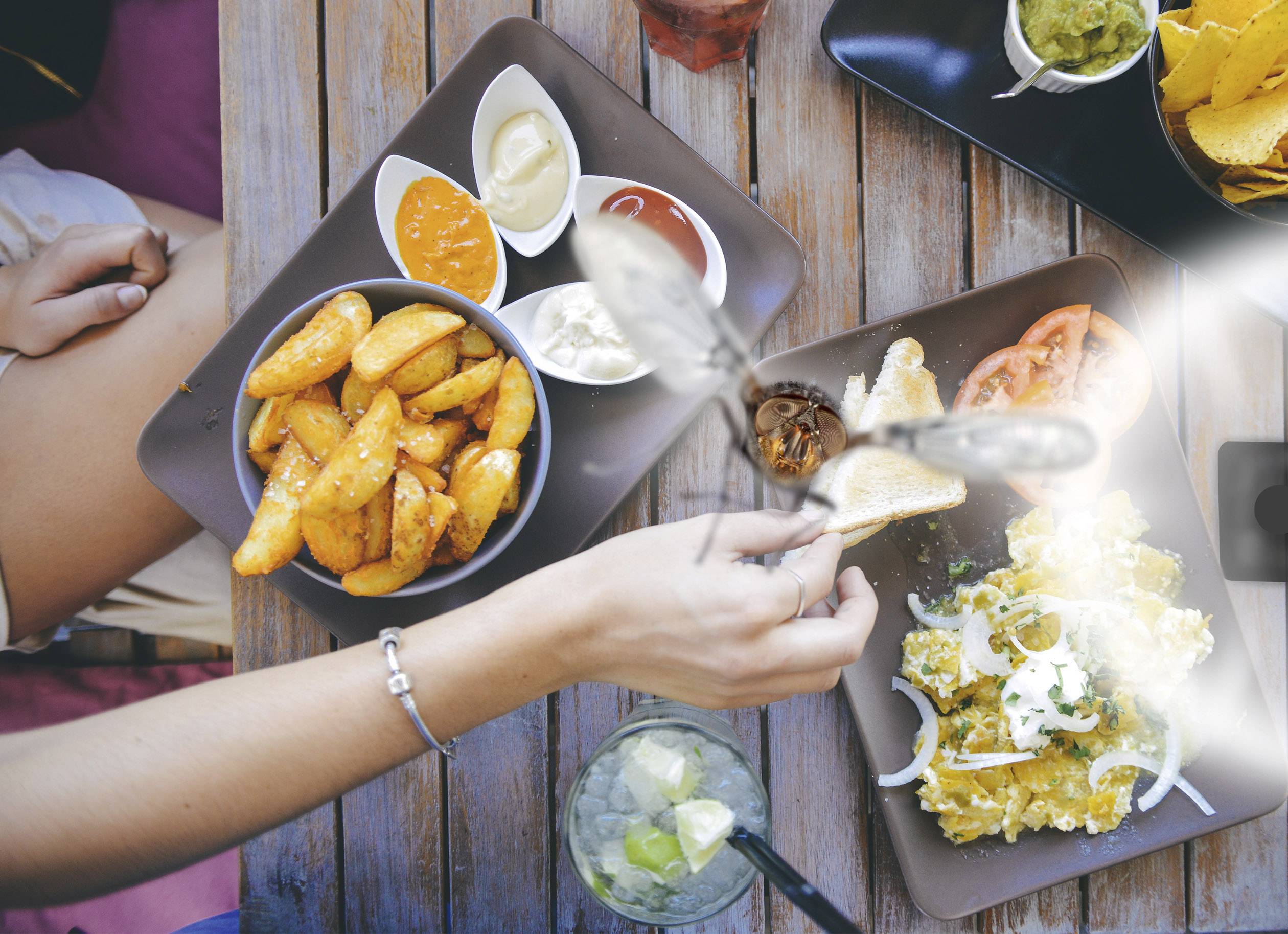 Gardigo Fly Scare 25157 Insektenvertreiber (B x H x T) 80 x 250 x 80mm Schwarz 1St.