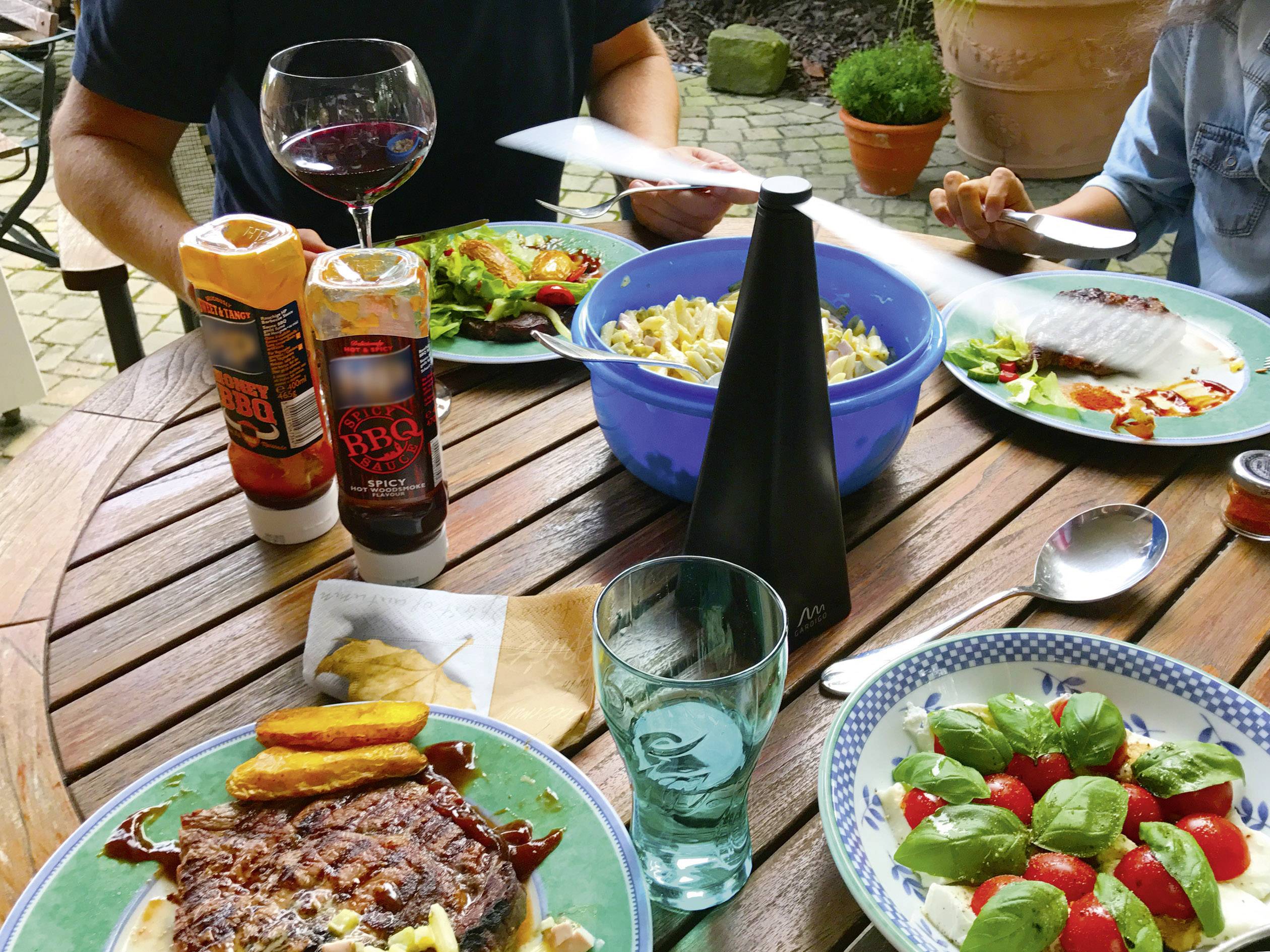 Gardigo Fly Scare 25157 Insektenvertreiber (B x H x T) 80 x 250 x 80mm Schwarz 1St.