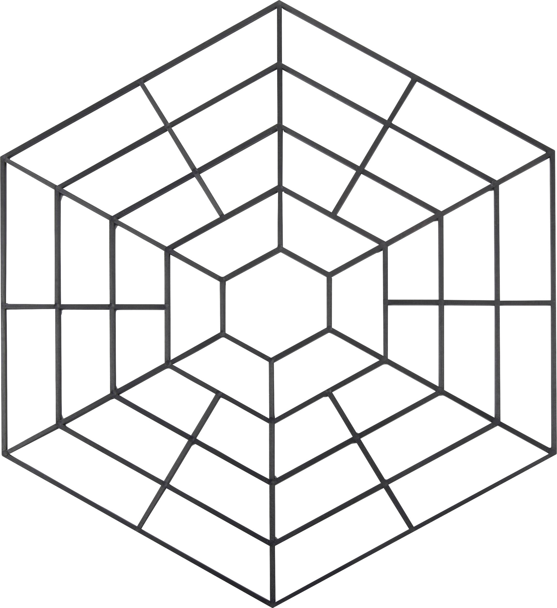 Eine geometrische Form, die einem sechseckigen Spinnennetz ähnelt, bestehend aus symmetrisch angeordneten Linien.