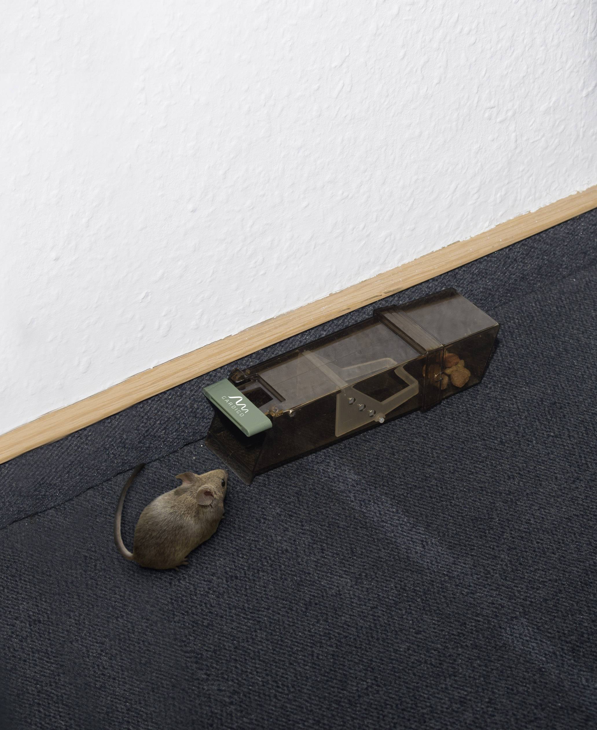 Gardigo TripTrap Lebendfalle Funktionsart Lockstoff 1 St.