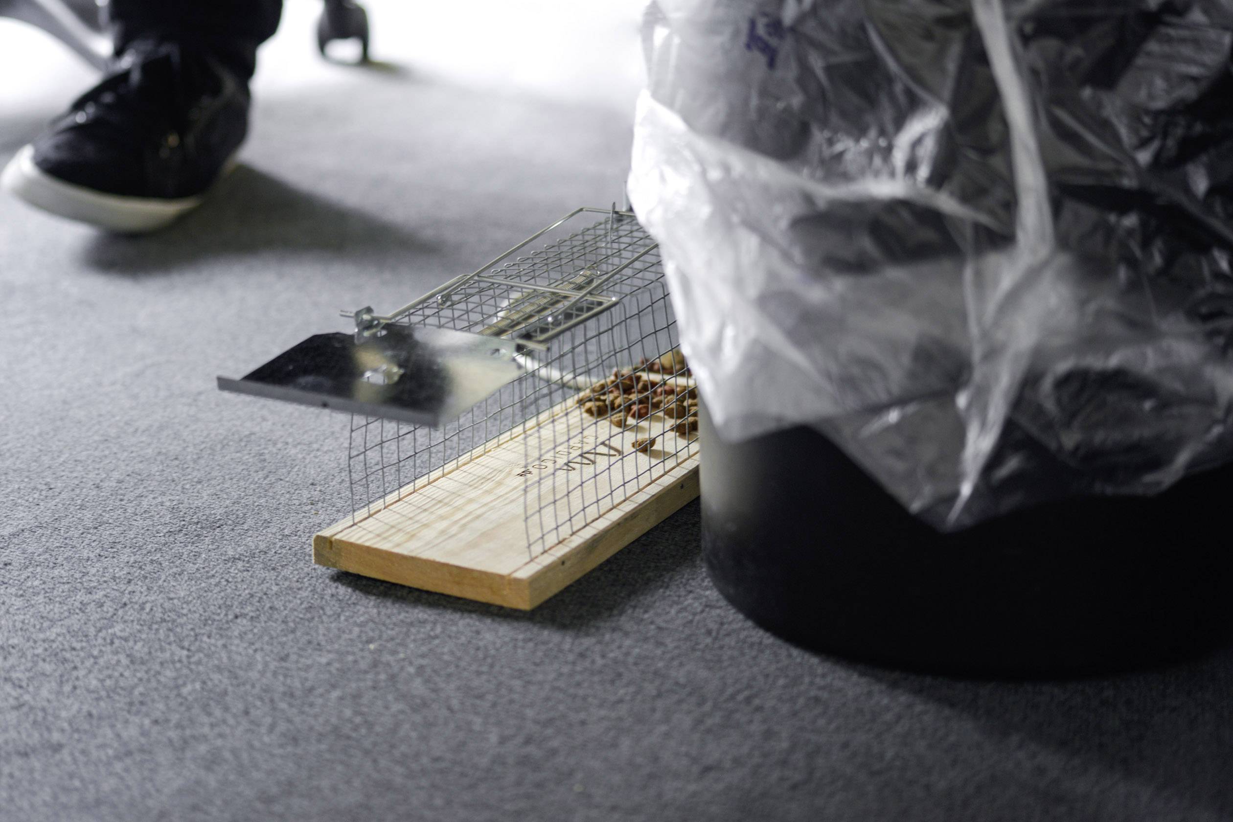 Gardigo Live Rat Trap Lebendfalle Funktionsart Lockstoff 1St.