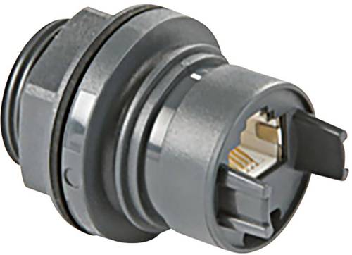 Gerätedose RJ45 Buchse, Einbau Buccaneer 6000 Schwarz PXP6033TP/E 1St.