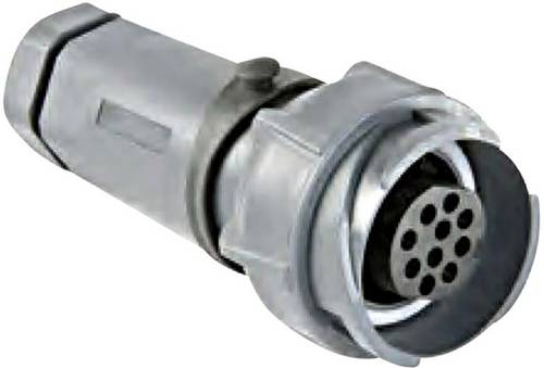 Bulgin PXP7011/32S/CR/0911 Rundsteckverbinder Kupplung, gerade Gesamtpolzahl: 32 Serie (Rundsteckve