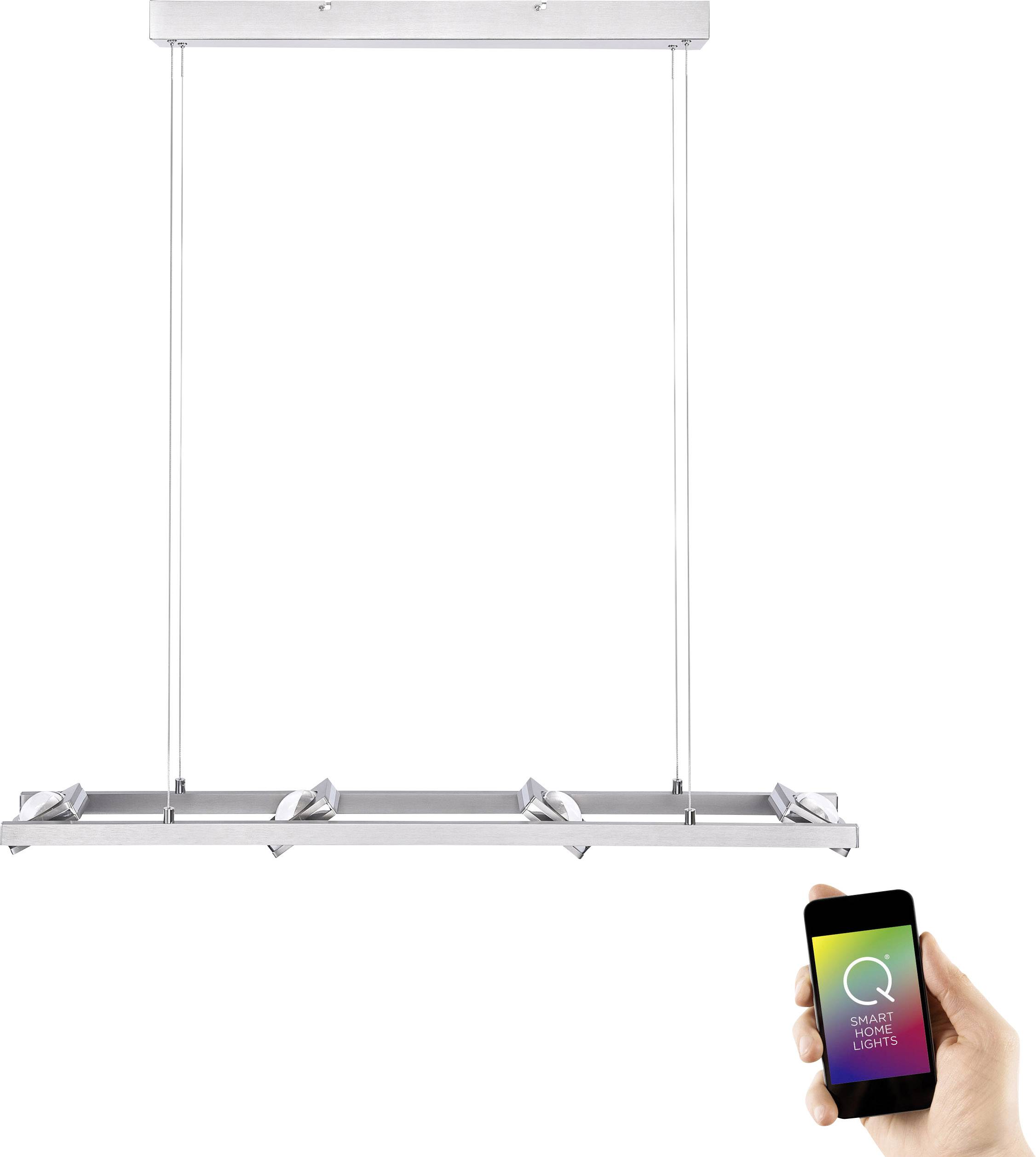 Paul Neuhaus Q® LED-Pendelleuchte Q®-Fisheye LED fest eingebaut 24 W RGBW