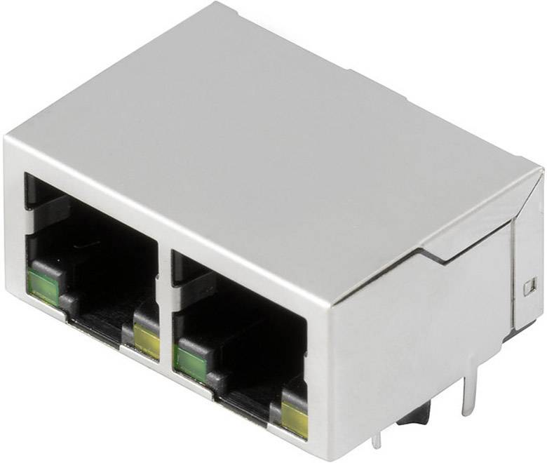 Silbernes, rechteckiges Ethernet-Port-Doppelmodul mit zwei RJ45-Anschlüssen für Netzwerkverbindungen.