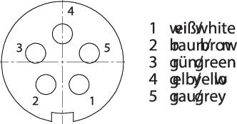 Binder 99 9116 400 05 Subminiatur-RundsteckverFlanschbuchse Gesamtpolzahl: 5 1St.
