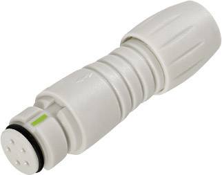 Binder 99 9226 400 08 Subminiatur-RundsteckverKupplung, gerade Gesamtpolzahl: 8 1 St.