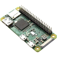 Raspberry Pi® Zero WH Zero WH 512 MB 1 x 1.0GHz Raspberry Pi® Zero WH Zero WH 512 MB 1 x 1.0GHz