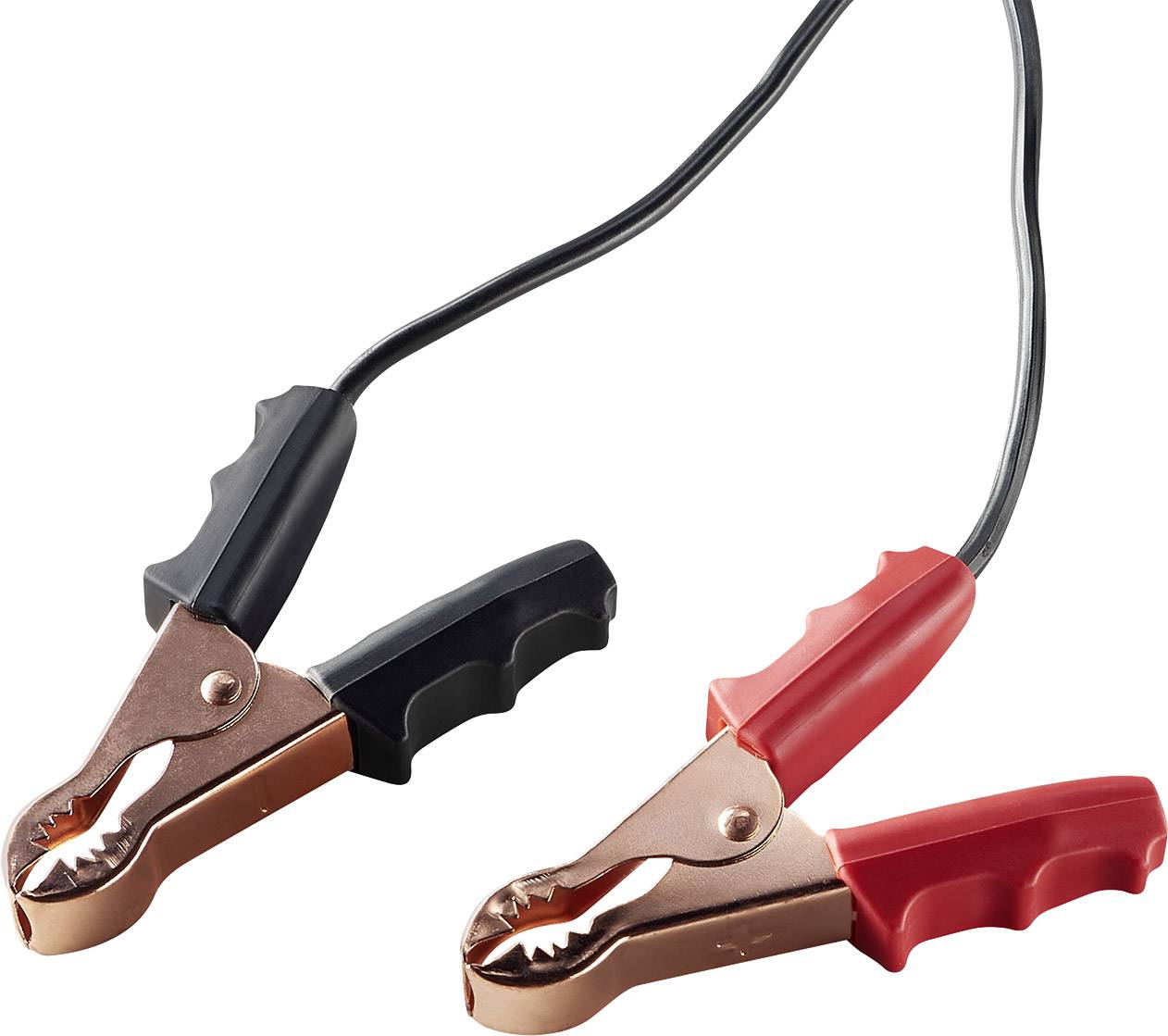 AEG Werk WM10 158008 Kfz-Ladegerät 2 A 10 A