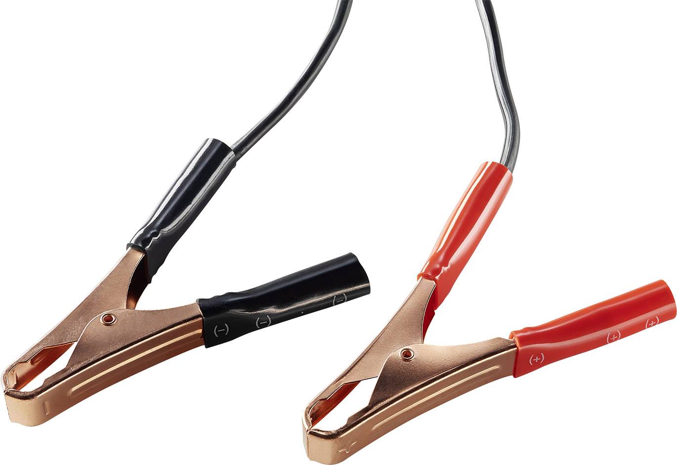 AEG Werk WM15/100A 158009 Kfz-Ladegerät 12 V, 6 V 8 A 15 A