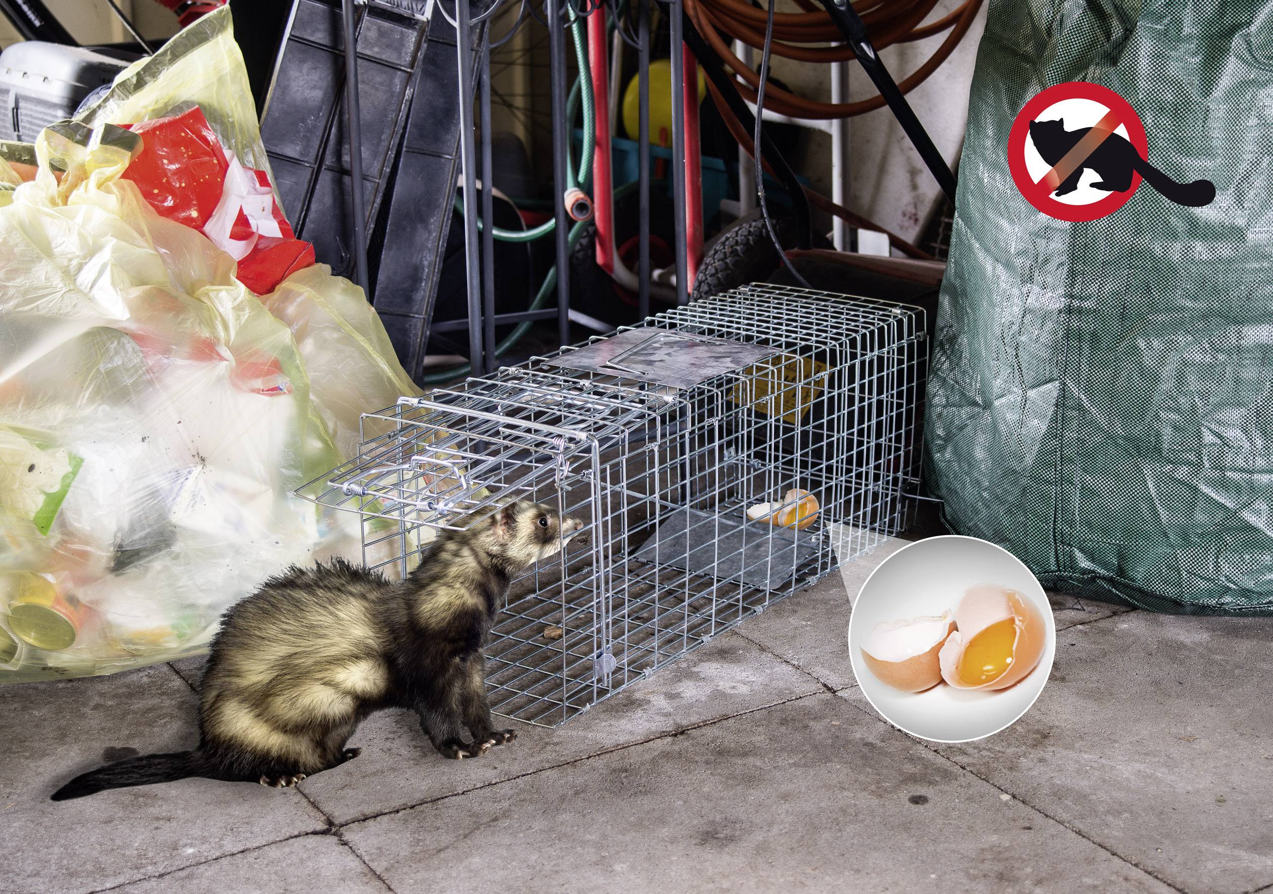 Gardigo Marder-Lebendfalle Käfig Lebendfalle Funktionsart Mobil 1 St.