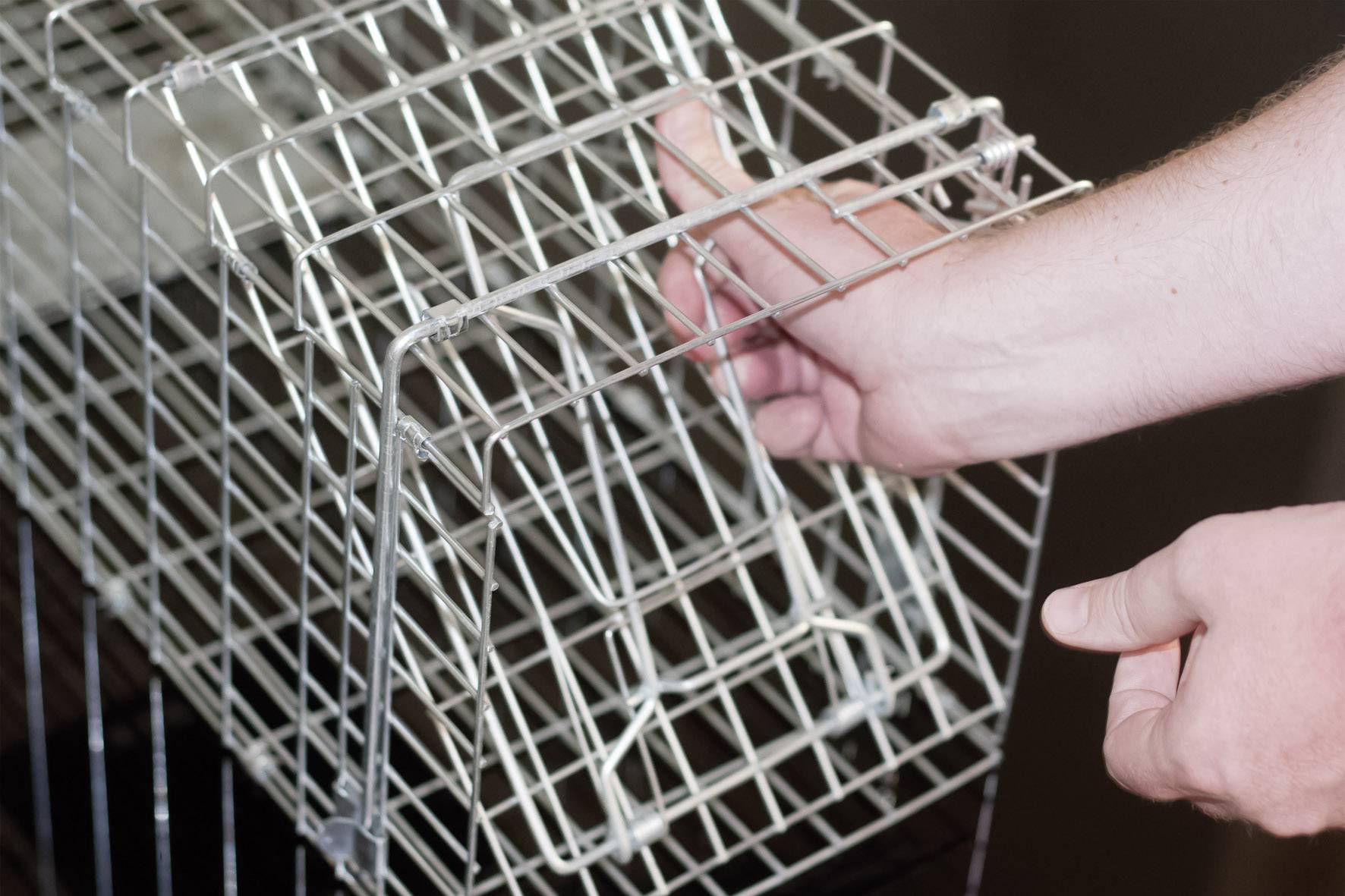 Gardigo Marder-Lebendfalle Käfig Lebendfalle Funktionsart Mobil 1St.